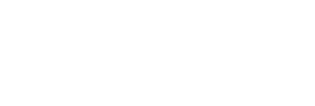 NOYORO SIM Guide Logo